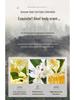 Camellia Shower Gel: 3 Jin Long-lasting Fragrance, Hydrating & Moisturizing, Large Family Pack for Men & Women