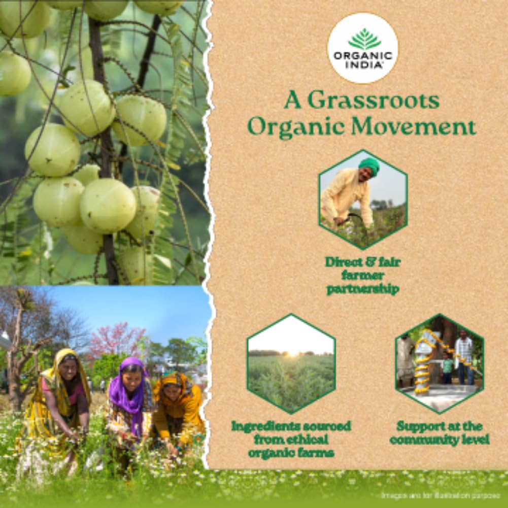 Organic India Tulsi Green Tea Classic Loose Leaves 100 g Refreshing Antioxidant Herbal Blend for Daily Wellness and Calm Moments