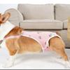 Adjustable Dog Physiological Pants Leak Proof Shoulder Straps Dog Diapers Washable Dog Sanitary Panties Menstrual Period