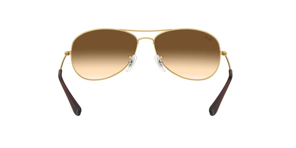 0RB3362 Japan 59 [Ray-Ban] 001/51 (FREE Size)