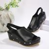 22 Summer New European and American Thick-soled Heightened Wedge Sandals Large Size Rivets Fish Mouth Open-toed Shoes