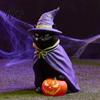 Vintage Mystery Style Ornament Halloween Schwarze Katze Hexe auf Kürbis Harzstatue, Mysteriöse Gothic Tischdekoration Exquisite Handwerkskunst Figur