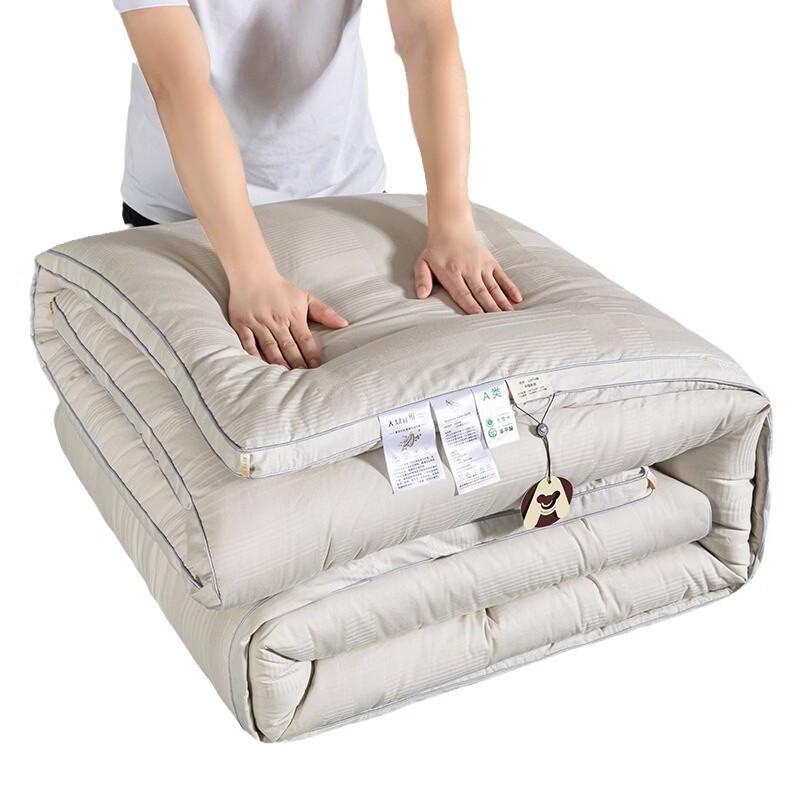 Brangdy Thickened Soy Fiber Winter Duvet