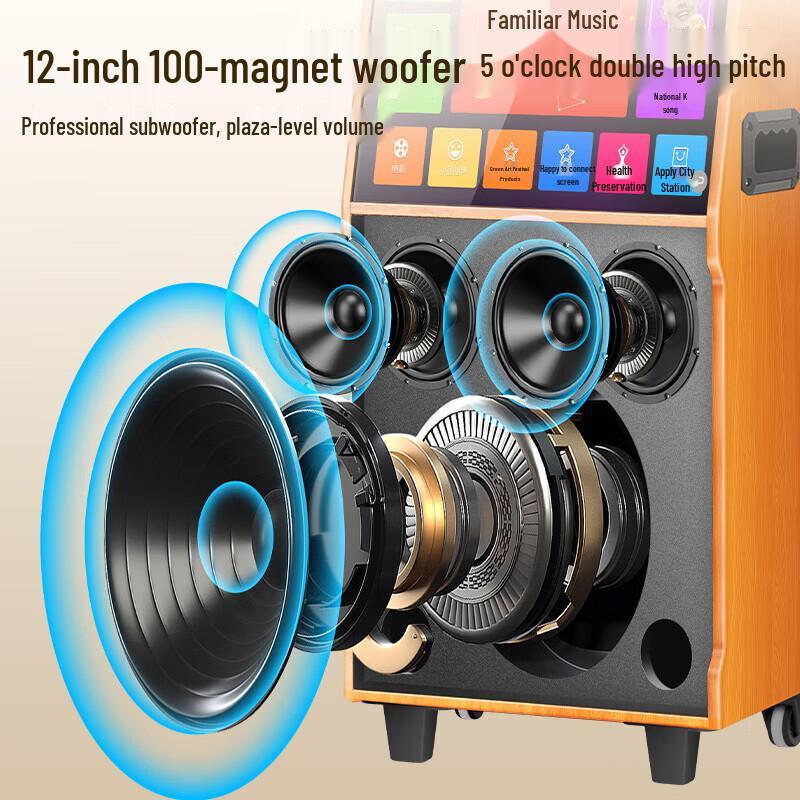 SAST 17-inch Screen Karaoke Speaker (CN version)
