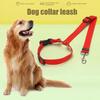 Cães – Colares e correntes para cães
