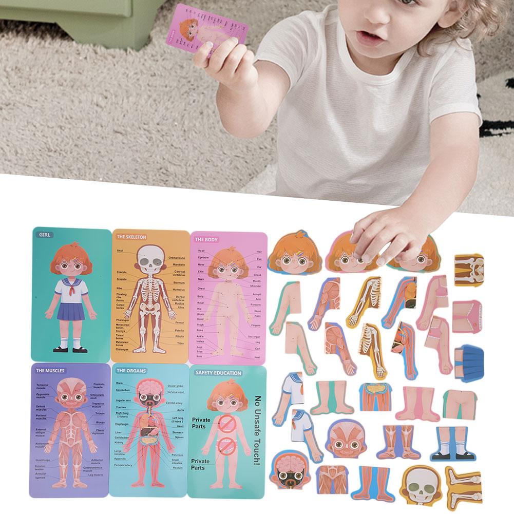 Children Wooden Human Body Organ Structure Cognition Puzzle Jigsaw Toy Educational ToysGirl Body