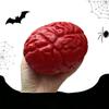 Realistic Scary Halloween Prank Prop: Fake Heart & Brain for Haunted House, Bar, or Escape Room Decoration