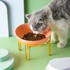 Cat Bowl Ceramic Pet Cat Double Bowl Cervical Vertebra High Foot Oblique Iron Frame Anti-overturning Dog Food Basin