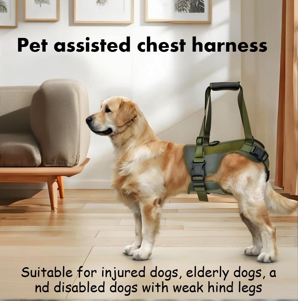 Dog Rear Leg Support Strap For Elderly Dogs, Mobility Assistance Harness For Hind Legs, Rehabilitation Lifting Aid For Senior Pets M зелёный