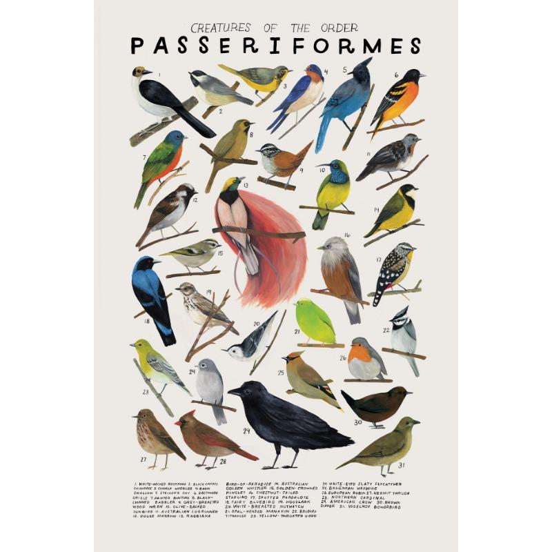 Woodland Animals Genus Generic evolution Nursery Posters Child Educate Prints Canvas Painting Wall Art Pictures Room Home Decor