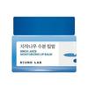 Birch Juice Moisturizing Lip Balm 20g
