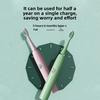 Household Toothbrush Sonic Electric Soft Bristle Electric Toothbrush Rechargeable Adult Electric Toothbrush ProfessionalGrade