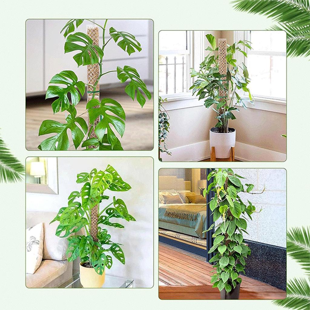 4pcs Plants Moss Pole Garden Subject Flower Plant Climbers Bonsai Accessories Pots Tutors For Planter Growth Holder Support