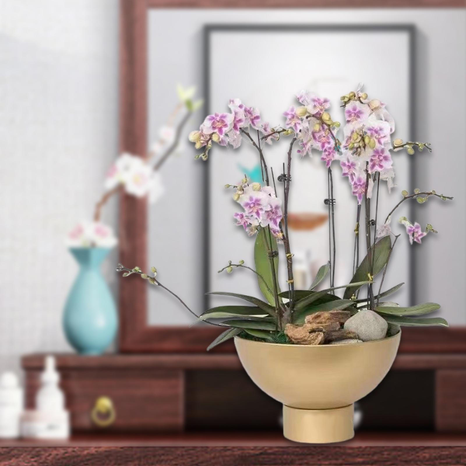 

Горшок легкий многоцелевой кашпо украшение для дома для обеденного стола сухоцветы M