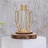 1 Stück Metallvase für Heimdeko, Wohnzimmer, Schlafzimmer, Büro, Tischdekoration | Vermehrungsstation mit Metallrahmen,
