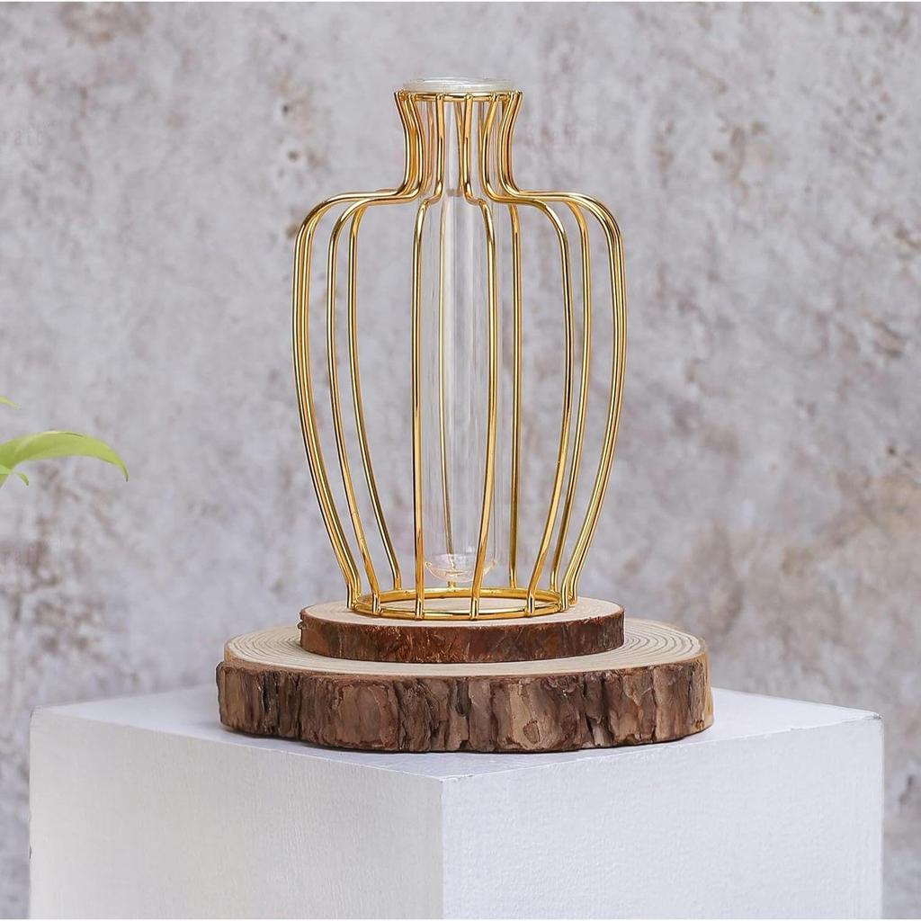 1 Stück Metallvase für Heimdeko, Wohnzimmer, Schlafzimmer, Büro, Tischdekoration | Vermehrungsstation mit Metallrahmen,