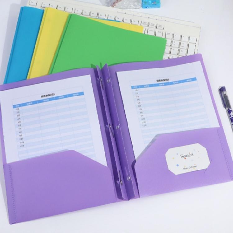 Letter Size File Organiser with 2 Pockets and 3 Prong Document Organiser with 3-Prong and Two Pockets for School Office