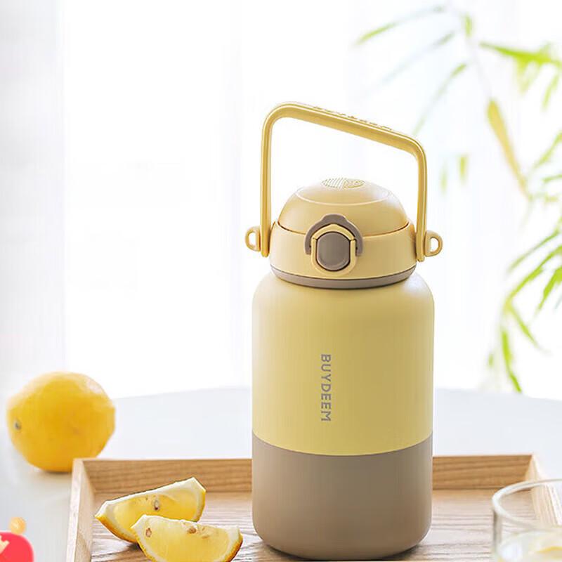 Buydeem 800ml Large Insulated Thermos Bottle