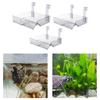 Hanging Turtle Resting Basking Platform Resting Terrace Turtle Tank Dock Floating Decor Reptile Habitat for Tortoises Turtles