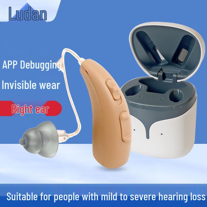 Lu Dan Rechargeable High-Power Hearing Aid for Medium to Severe Hearing Loss - Behind the Ear Design Unit