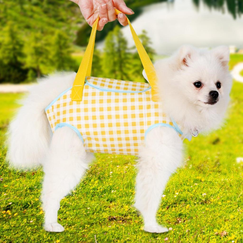 Cat Carrier Bag, Carrying Portable Pet Carrier, Handbag for Cats and Small Dogs Outdoor