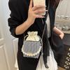 Premium Texture Light Luxury Niche Portable Box Bag Trendy New Fashion Commuting Versatile Shoulder Messenger Bag