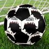 Fotbal – Mingi de fotbal