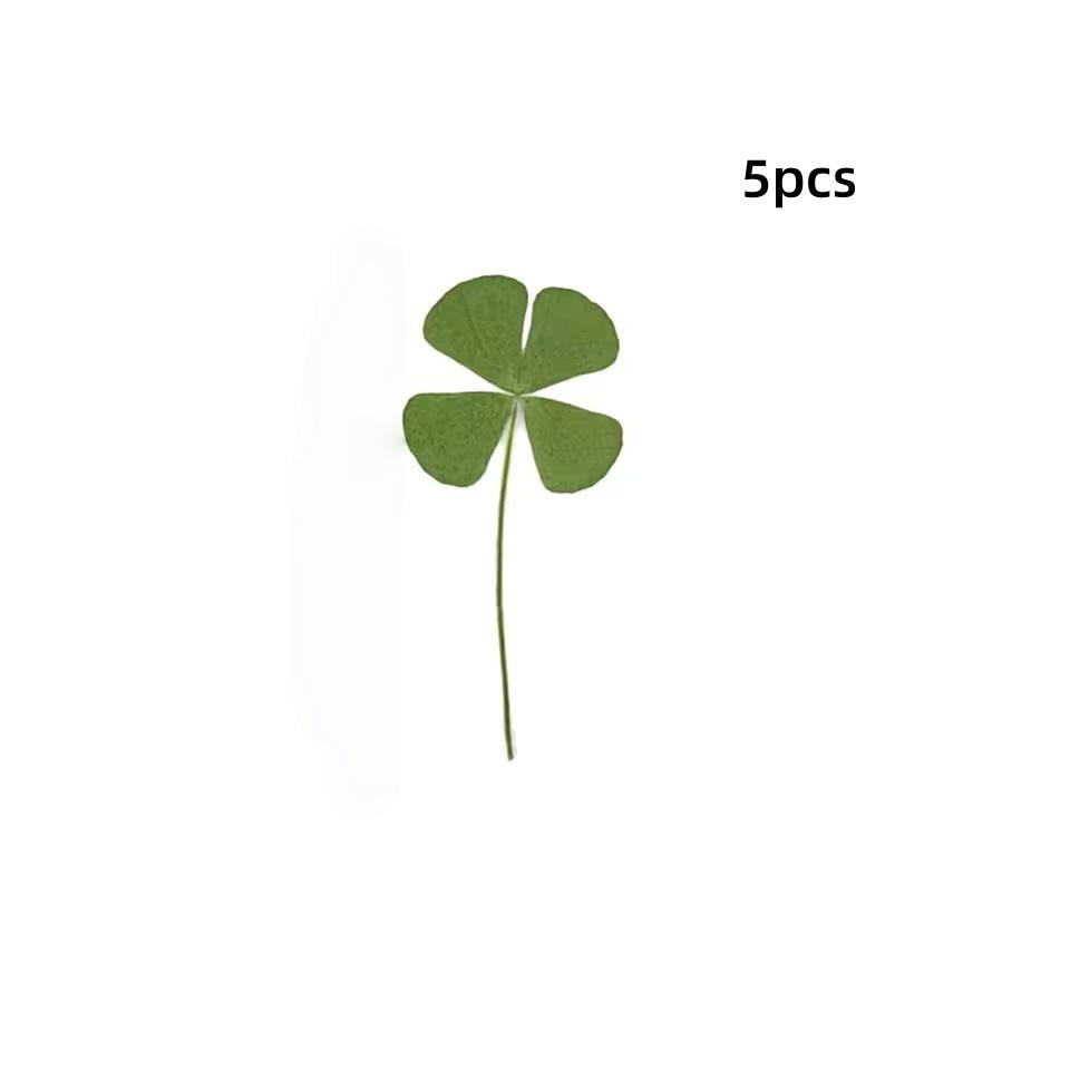 5pcs Lucky Four-Leaf Clover Natural Original Grass Transparent for Card Bookmark Wishing Four Leaf Clover Waterproof Postcard