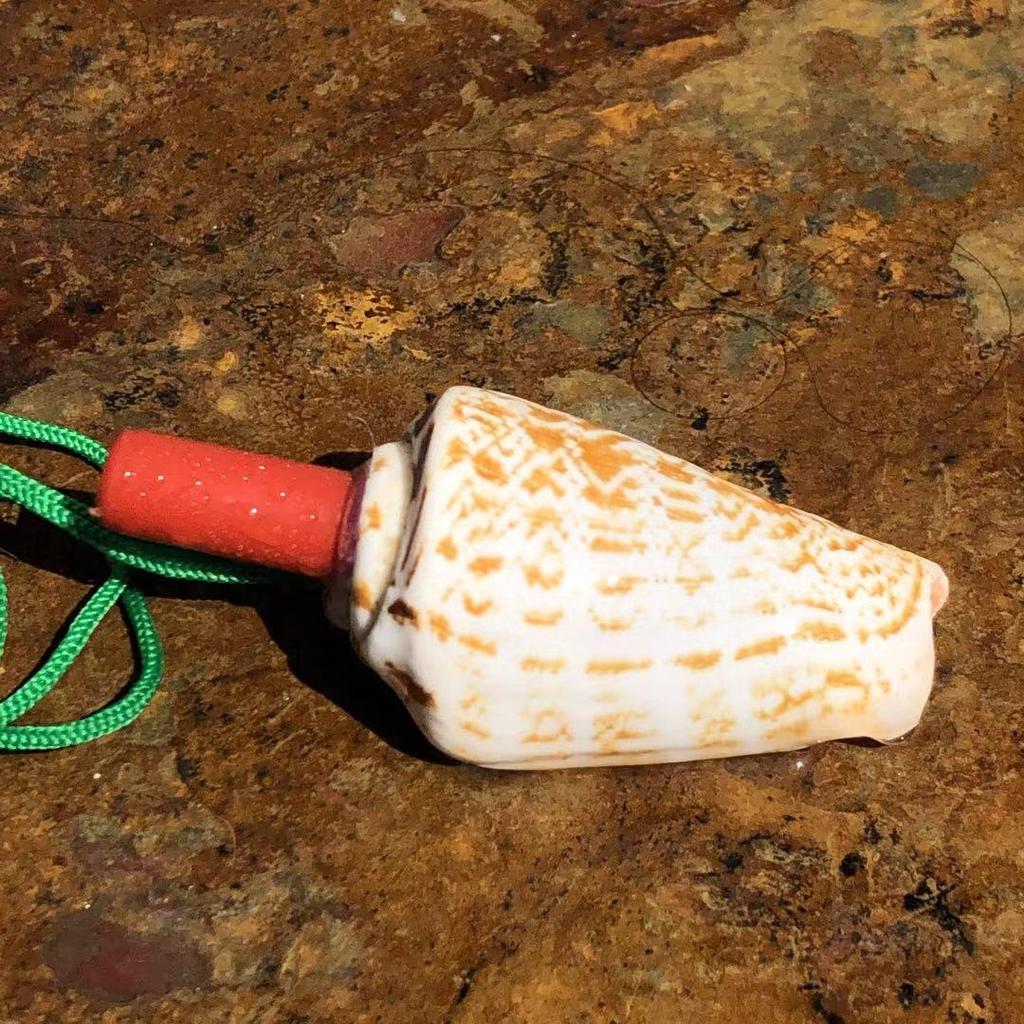 Street Stall Conch Shell Whistles & Toys: Creative Souvenirs
