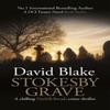 Stokesby Grave by David Blake Paperback Book 9781738541812