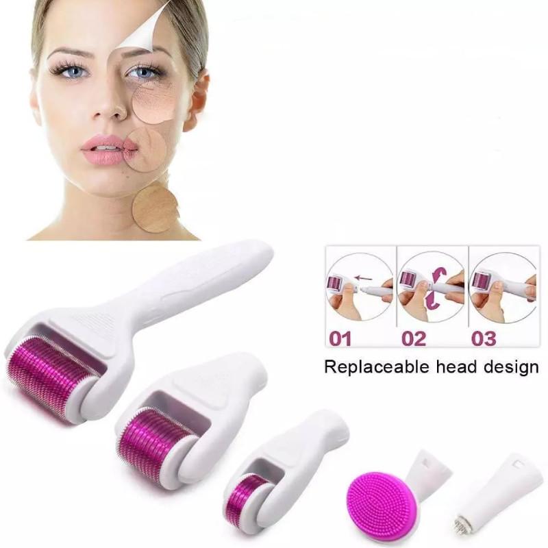 Roller 6 Derma In 1 Titanium Micro Needle Anti Ageing Facial Skin Care Tool Set