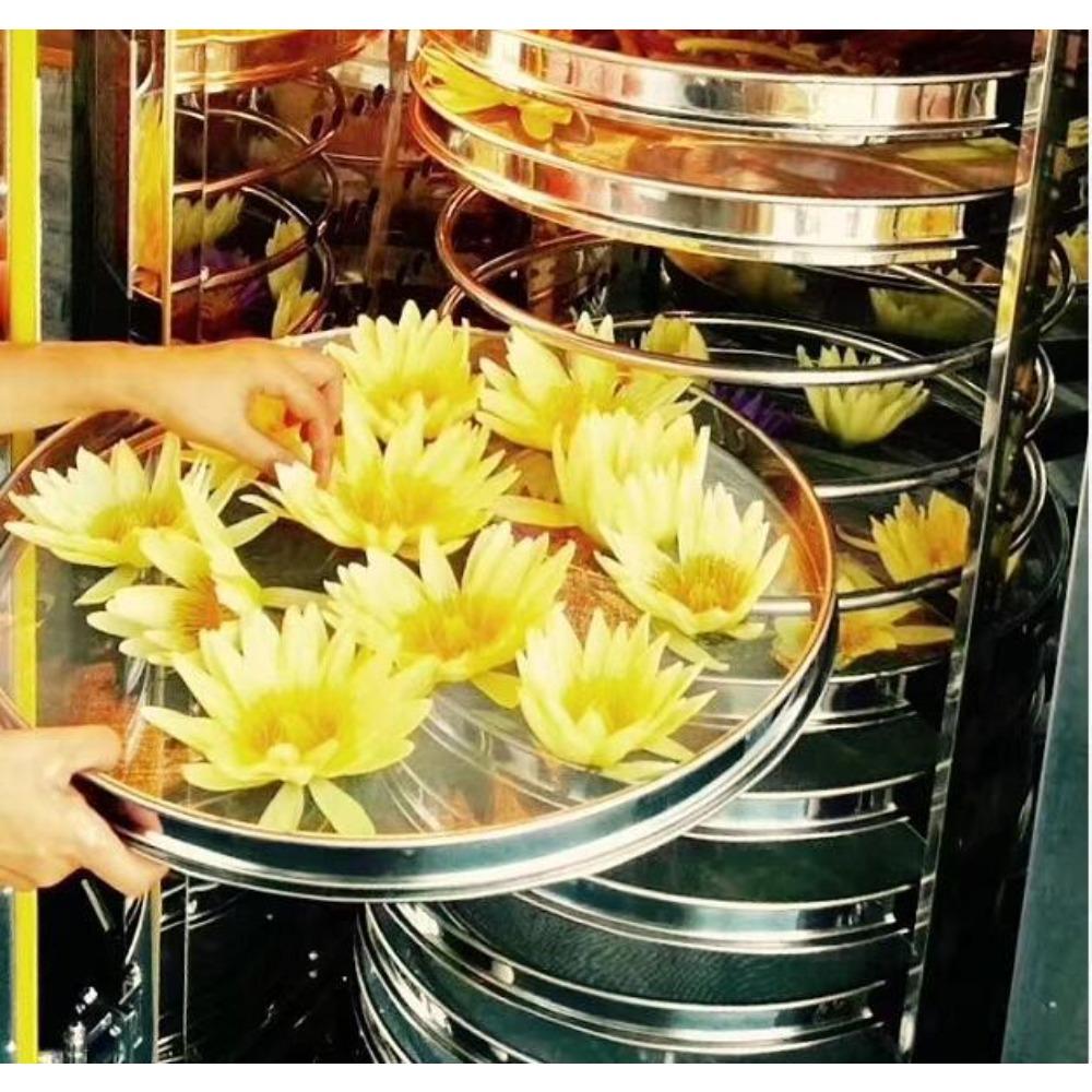 Natural Herbal Yellow Lotus Tea 500g Detox Energy Boost for Men Women