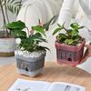 Square Root View Planter Pot Drainage Breathable Plastic Plant Holder for Home Indoor Garden Living Room Setups