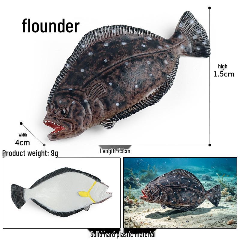 Simulationsmodelle von Meerestieren: Qualle, Oktopus, Meeresgarnele, Seeanemone, Tintenfisch, Pfeilschwanzkrebs, Flusskrebs, Pfeilkraut