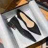Thick Heel Pointed Head Shallow Mouth Foot Cover Spring Single Shoes Women's 2025 New Low Heel Fashion Late Evening Wind Bridesmaid Women's Shoes