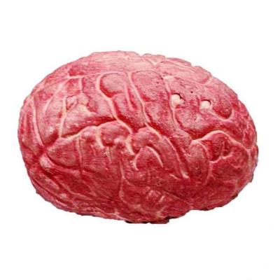 graco pack n play playard carnival