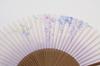 Hasegawa Women's Kyoto Fan with Pouch and Presentation Box (Wisteria)