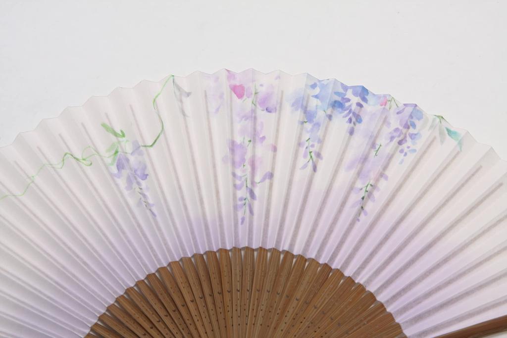 Hasegawa Women's Kyoto Fan with Pouch and Presentation Box (Wisteria)