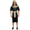 Pharaoh costume egyptian egyptian pharaoh egyptian carnival M L XL 164 170 J I 11 c