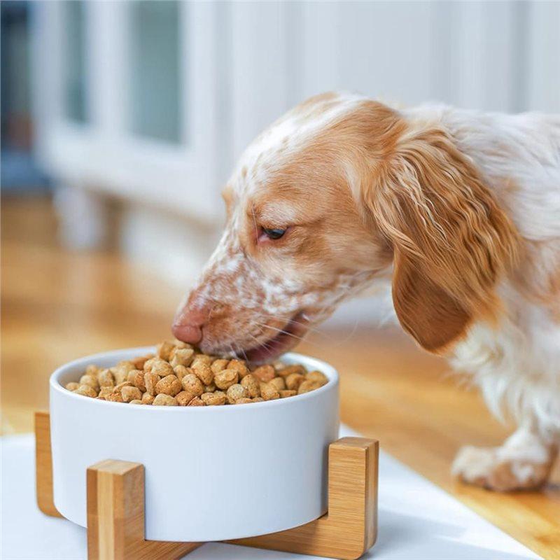 B97A-Deluxe Small White Stoneware Wood Pet Bowl Cat Water Bowl& Food Bowl With Stand For Dogs And Cats