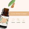 White Sage & Sandalwood Ätherisches Öl Diffusor Mischung von Aromafume | 10ml