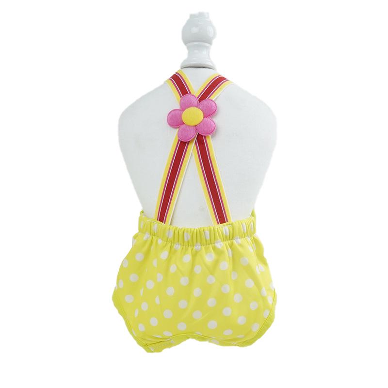 Washable Anti-Harassment Dog Physiological Pants – Teddy Pet Apparel