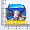 China Fridge Stickers Namtso Jokhang Temple Tourist Souvenirs  XI An LijiangTibet Fridge Magnets Home Decor Wedding Gifts