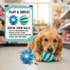 Newly upgrade Dog Food Ball Pet Dog Toy Interactive Rubber Balls for Small Large Dogs Puppy Cat Chewing Toys Pet Tooth Cleaning
