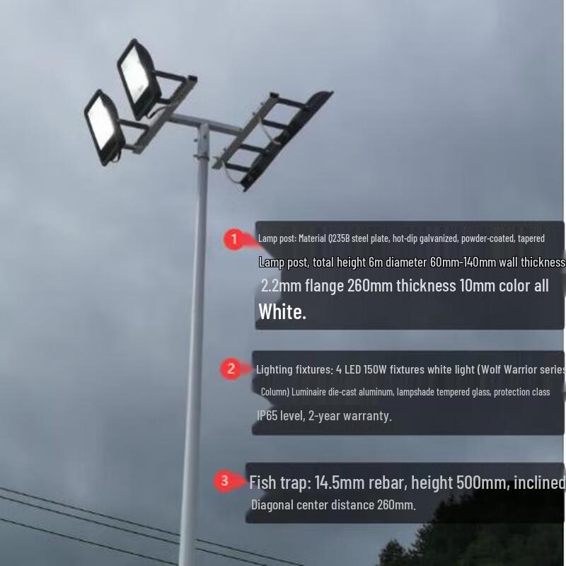 Outdoor Double-Head LED High Pole Light