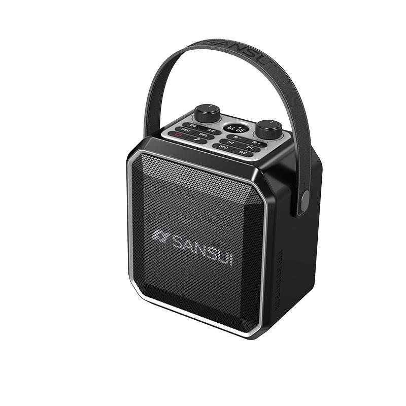 SANSUI Portable Outdoor Karaoke Bluetooth Speaker