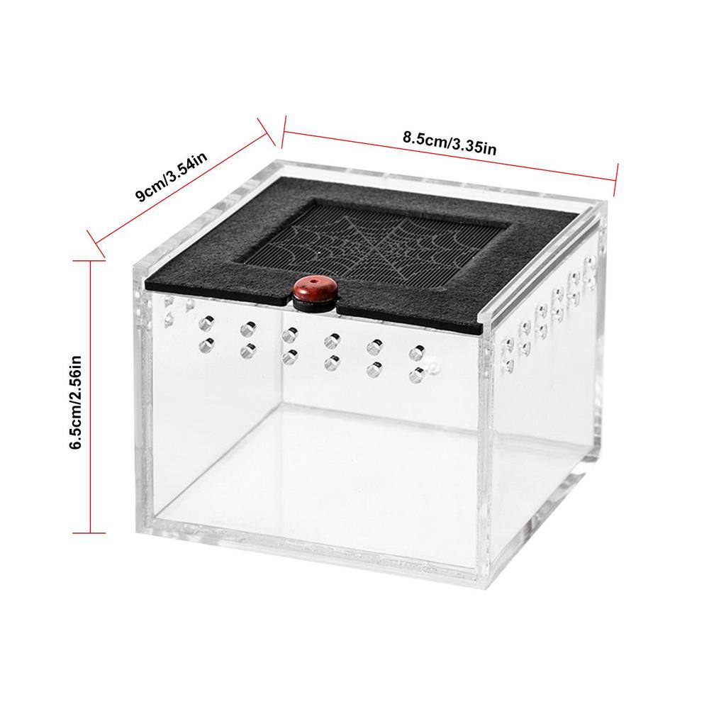 

Ящик для разведения рептилий, ящик для кормления ползающих рептилий, ящик для ящериц, шелкопрядов, скорпионов, насекомых, домик для домашних животных, акриловая клетка