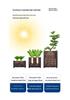 Extra Large Multi-layer Rectangular Planting Box for Home Balcony - Ideal for Fruits, Vegetables, and Flowers
