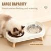 Elevated Cat Bowls Stainless Steel Water Dish Puppy Feeding Bowl for Pet Indoor Outdoor Home Office Apartment Garden Park