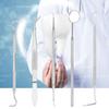 5Pcs Professional Stainless Steel Dentist Tools Set Dental Hygiene Cleaning  Kit
